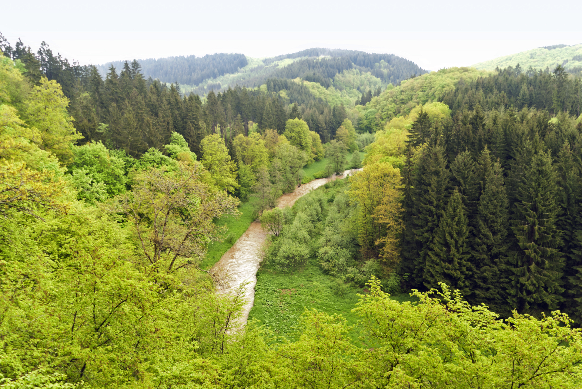 Eifel-Eifelsteig-huisjesduitsland.nl
