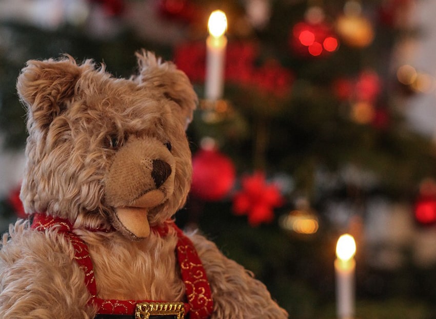 baden-württemberg-steiff-teddybeer-huisjesduitsland.nl