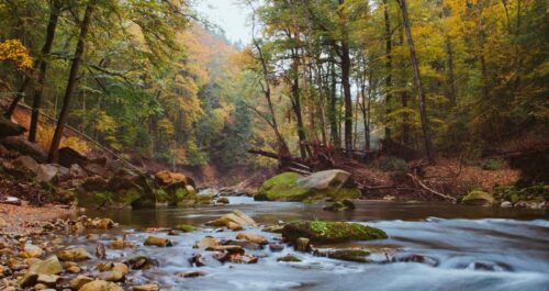 Eifel-natuur-water-herfst-huisjesduitsland.nl