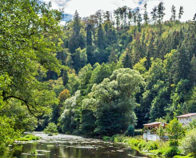 Saksen-Anhalt-Harz-beekje-huisjesduitsland.nl