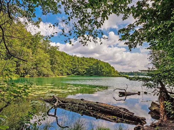 Brandenburg-Spreewald-huisjesduitsland.nl