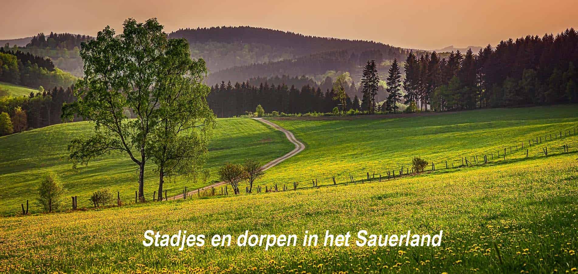 Winterberg-Sauerland-huisjesduitsland.nl